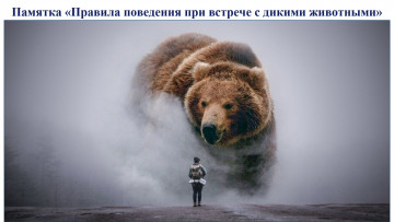 Памятка "Правила поведения при встрече с диким животным"